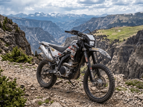 Dual Sport